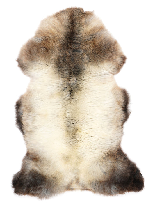 NB00086