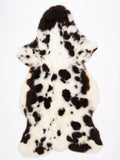 MV00070