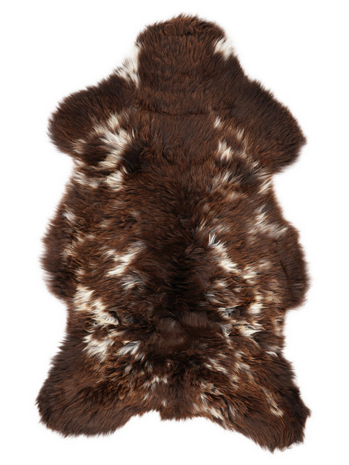 OY00079