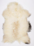 NV00014