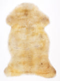 NR00093