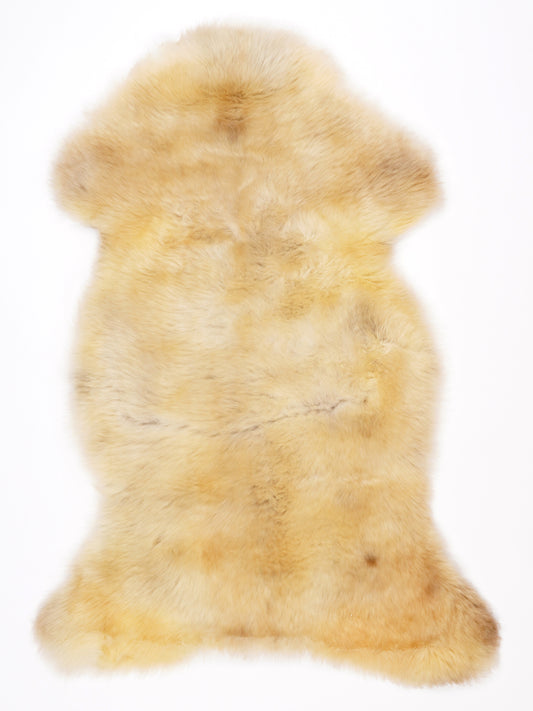NR00093