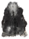NI00054