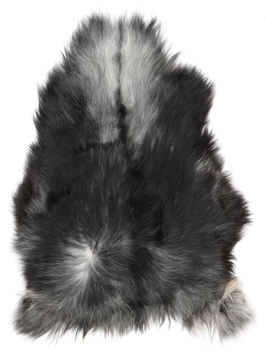 NI00054
