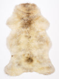 NF00099