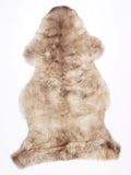 NJ00088