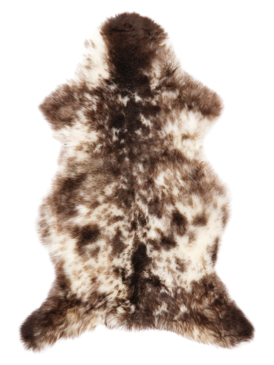 NR00004