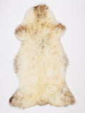 NR00078