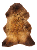 NG00047